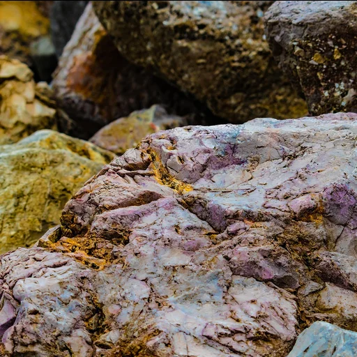 壹号娱乐博彩牌照