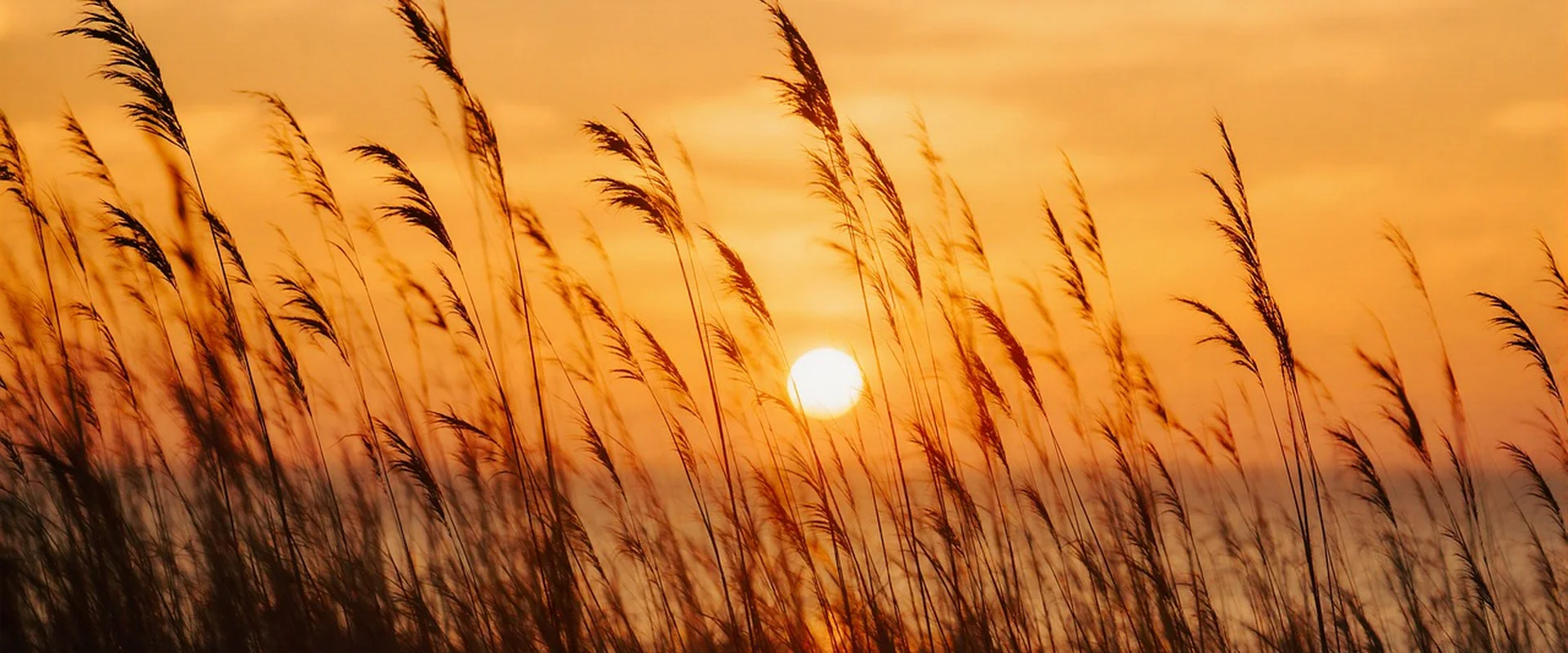 壹号娱乐娱乐平台