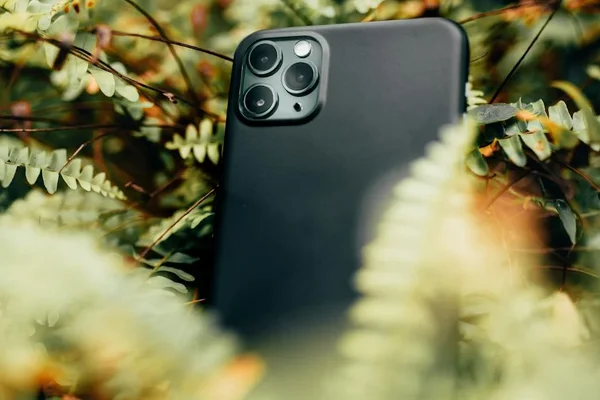 壹号娱乐真人娱乐